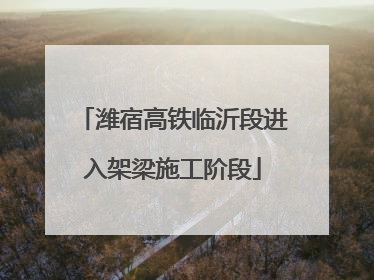 潍宿高铁临沂段进入架梁施工阶段