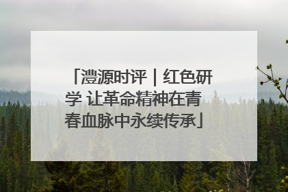 澧源时评｜红色研学 让革命精神在青春血脉中永续传承