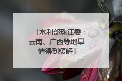 水利部珠江委：云南、广西等地旱情得到缓解