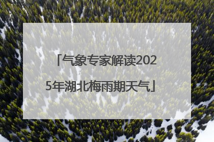 气象专家解读2025年湖北梅雨期天气