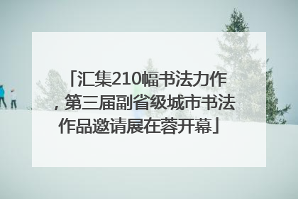 汇集210幅书法力作，第三届副省级城市书法作品邀请展在蓉开幕
