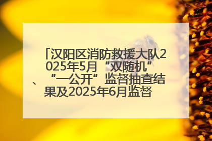 汉阳区消防救援大队2025年5月“双随机”、“一公开”监督抽查结果及2025年6月监督抽查任务公示