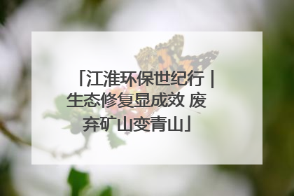 江淮环保世纪行｜生态修复显成效 废弃矿山变青山