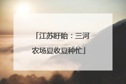 江苏盱眙：三河农场夏收夏种忙