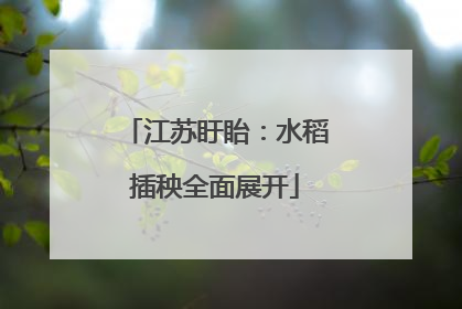 江苏盱眙：水稻插秧全面展开
