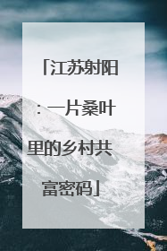 江苏射阳:一片桑叶里的乡村共富密码