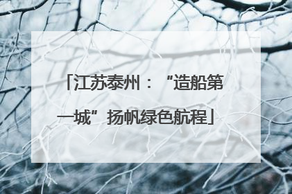 江苏泰州：“造船第一城”扬帆绿色航程