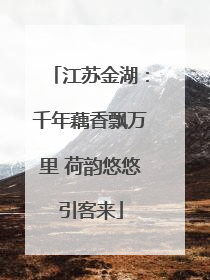 江苏金湖：千年藕香飘万里 荷韵悠悠引客来
