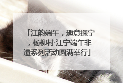 江韵端午，趣意探宁，杨柳村·江宁端午非遗系列活动圆满举行
