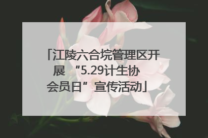江陵六合垸管理区开展 “5.29计生协会员日”宣传活动
