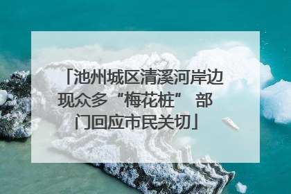 池州城区清溪河岸边现众多“梅花桩” 部门回应市民关切
