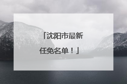 沈阳市最新任免名单！