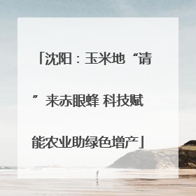 沈阳：玉米地“请”来赤眼蜂 科技赋能农业助绿色增产