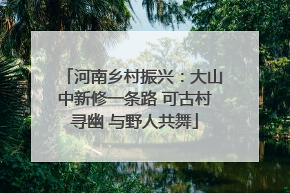 河南乡村振兴：大山中新修一条路 可古村寻幽 与野人共舞