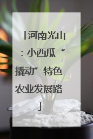 河南光山：小西瓜“撬动”特色农业发展路