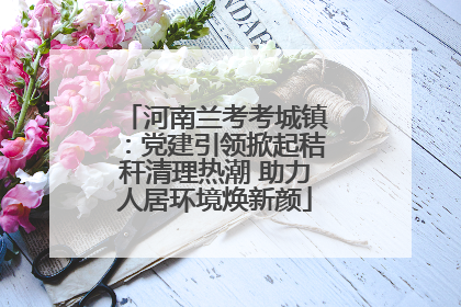 河南兰考考城镇：党建引领掀起秸秆清理热潮 助力人居环境焕新颜