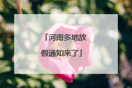 河南多地放假通知来了