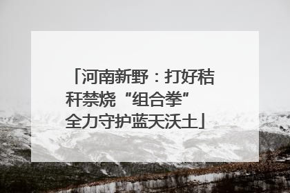 河南新野：打好秸秆禁烧“组合拳” 全力守护蓝天沃土