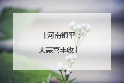 河南镇平：大蒜喜丰收