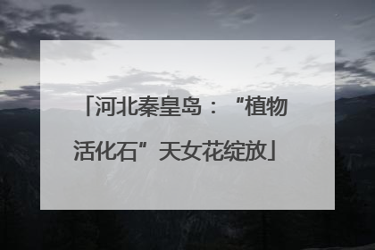 河北秦皇岛：“植物活化石”天女花绽放