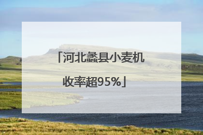 河北蠡县小麦机收率超95%