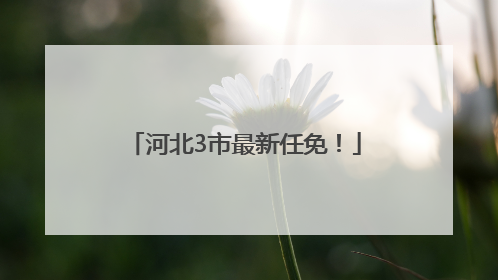 河北3市最新任免！