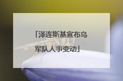 泽连斯基宣布乌军队人事变动