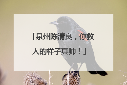 泉州陈清良，你救人的样子真帅！