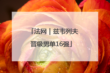 法网｜兹韦列夫晋级男单16强