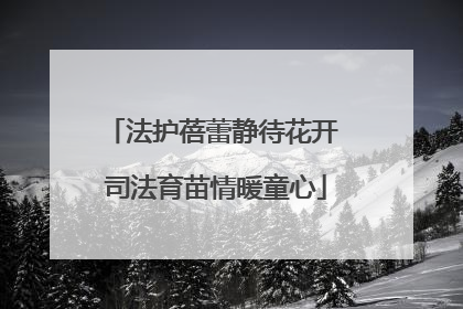 法护蓓蕾静待花开 司法育苗情暖童心