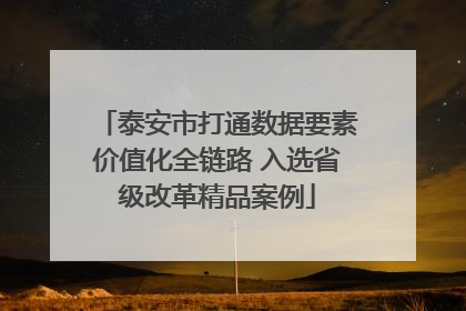 泰安市打通数据要素价值化全链路 入选省级改革精品案例