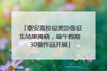 泰安高校最美影像征集结果揭晓，端午假期30强作品开展