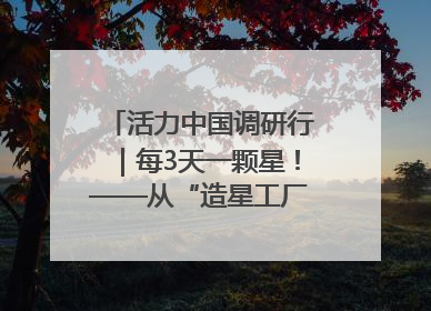 活力中国调研行｜每3天一颗星！——从“造星工厂”到太空织网的“银河速度”
