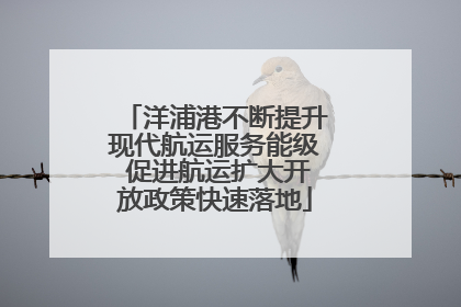 洋浦港不断提升现代航运服务能级 促进航运扩大开放政策快速落地