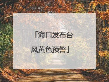 海口发布台风黄色预警