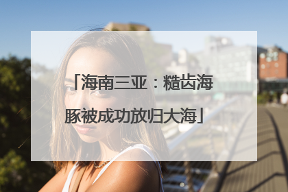 海南三亚：糙齿海豚被成功放归大海