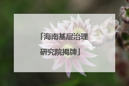 海南基层治理研究院揭牌