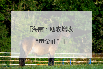 海南：助农增收 “黄金叶”