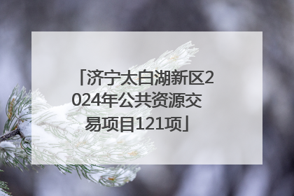 济宁太白湖新区2024年公共资源交易项目121项