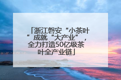 浙江磐安“小茶叶”成就“大产业”，全力打造50亿级茶叶全产业链