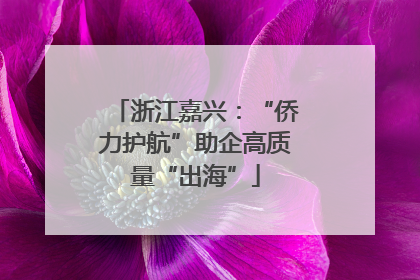 浙江嘉兴：“侨力护航”助企高质量“出海”