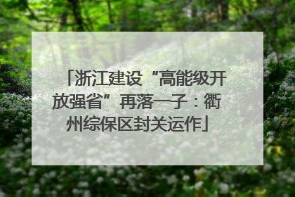 浙江建设“高能级开放强省”再落一子：衢州综保区封关运作