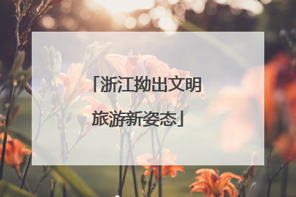 浙江拗出文明旅游新姿态