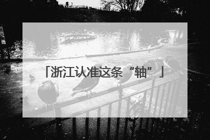 浙江认准这条“轴”