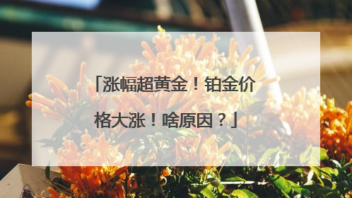 涨幅超黄金！铂金价格大涨！啥原因？