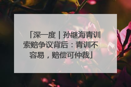 深一度｜孙继海青训索赔争议背后：青训不容易，赔偿可仲裁