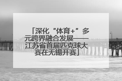 深化“体育+”多元跨界融合发展——江苏省首届匹克球大赛在无锡开赛