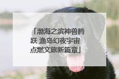 渤海之滨神兽腾跃 渔岛幻夜宇宙点燃文旅新篇章