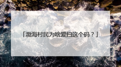 渤海村民为啥爱扫这个码？