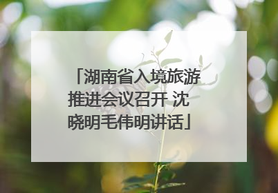 湖南省入境旅游推进会议召开 沈晓明毛伟明讲话
